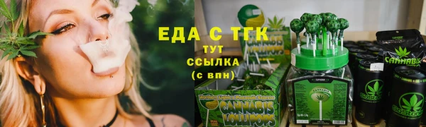 стаф Инта