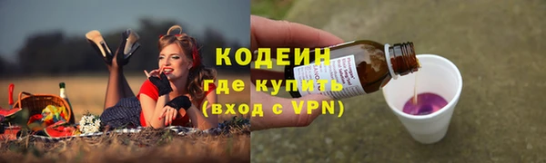 ПСИЛОЦИБИНОВЫЕ ГРИБЫ Бородино