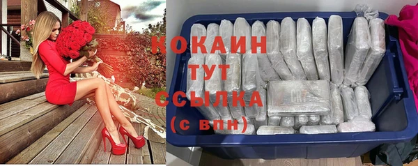ПСИЛОЦИБИНОВЫЕ ГРИБЫ Бородино