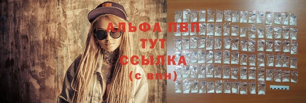 ПСИЛОЦИБИНОВЫЕ ГРИБЫ Бородино